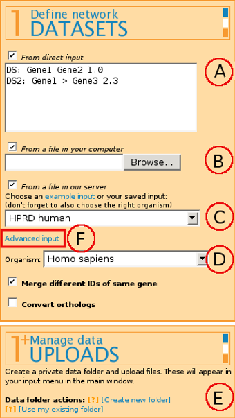 Define network datasets